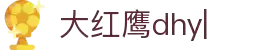 大红鹰dhy(中国)有限公司官网